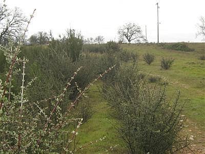 4th image of Crestview