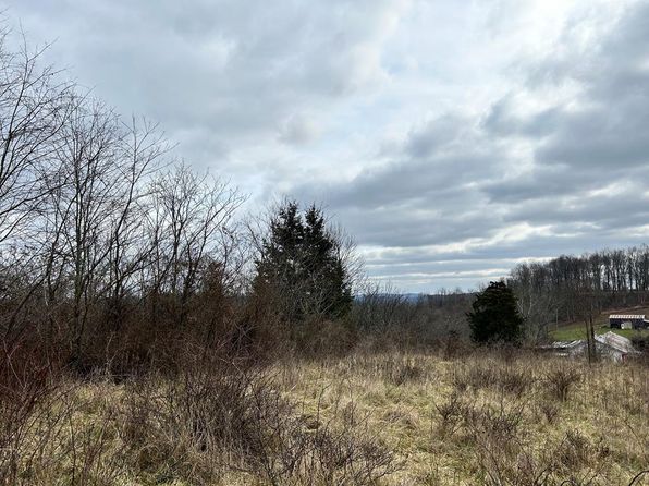 721/724 Cramblett Hill Rd, Friendly, WV 26146