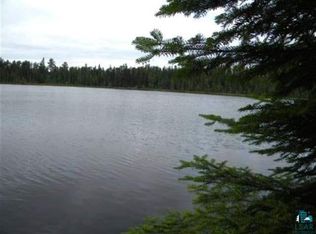 Xxx Fernberg Trl, Ely, MN 55731