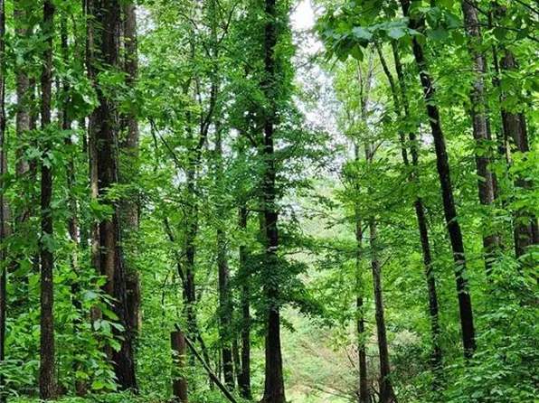 2760 Kesler Rd #4, Carnesville, GA 30521