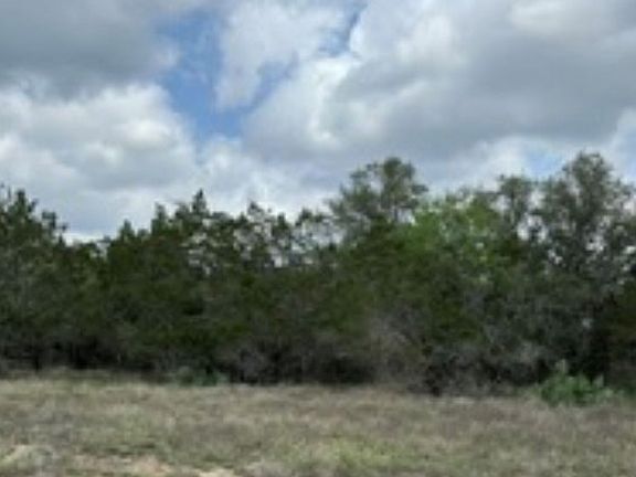 5th image of 183 Fossil LOT 7