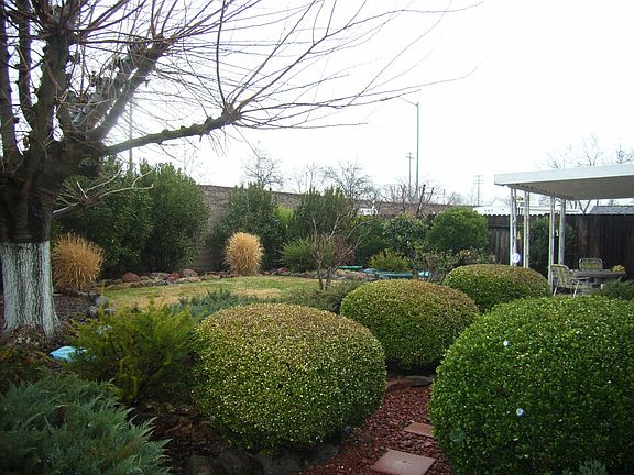 Nicely Landscaped Front and Back