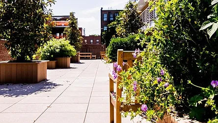 Rented by Nooklyn NYC LLC