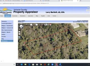 902 Chippewa Cir, Ormond Beach, FL 32174