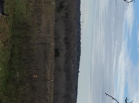5th image of 176C McVay Ln