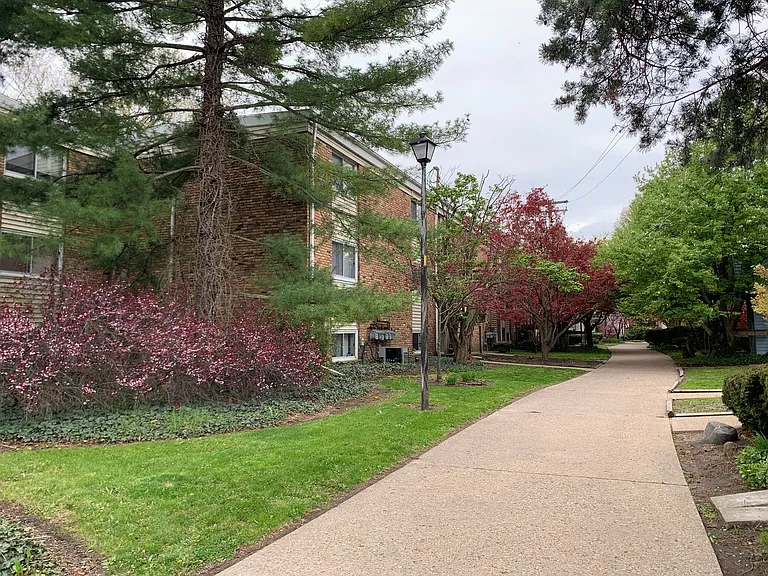 1009 Francis Dr — Photo 10
