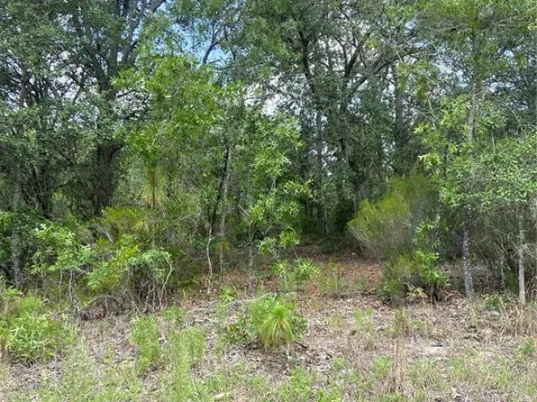 102 Northeast Ct, Bronson, FL 32621