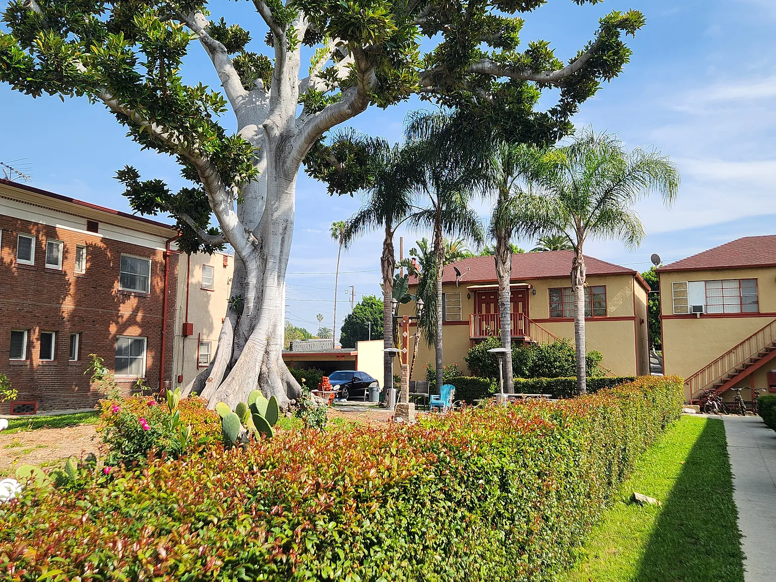 Studio, 700 sqft, $1,575 — Photo 4