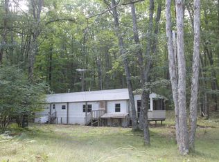 8063 W Nine Mile Rd, Irons, MI 49644