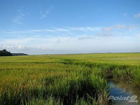 marsh6
