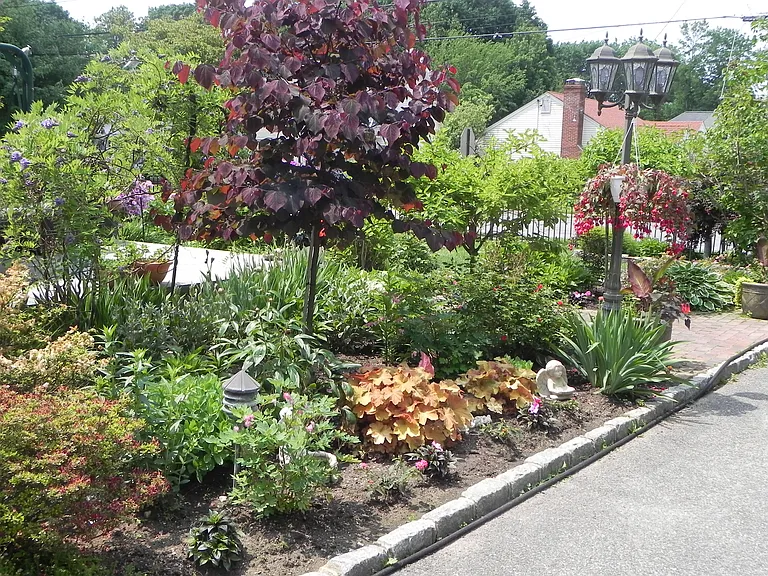 Beautiful landscaping always at our home thanks to Nanny who is a full time gardener!