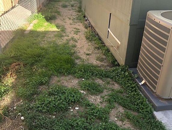 5th image of 15 York Dr
