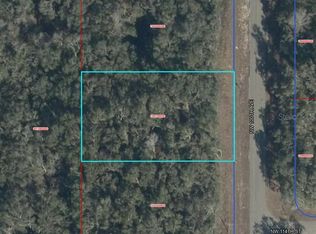 NW 100th Ave Lot 2, Chiefland, FL 32626
