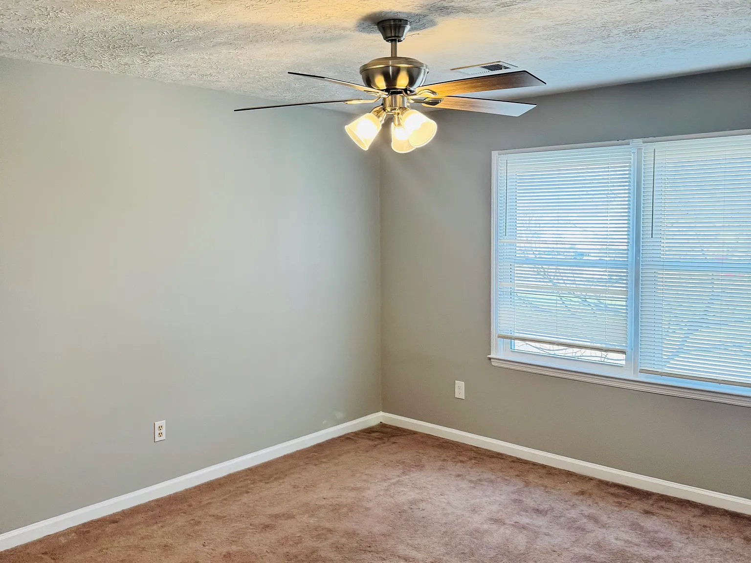 605 Eureka Springs Dr — Photo 3