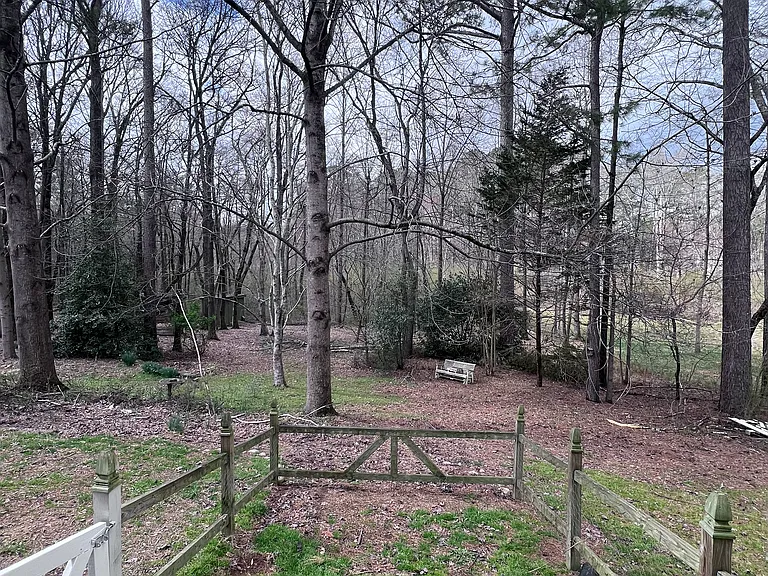 Backyard- small fenced area