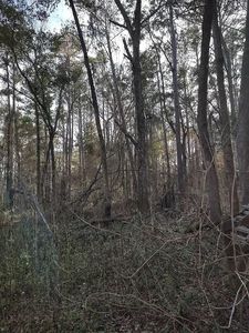 0 Ajax Rd, Tallahassee, FL, 32311