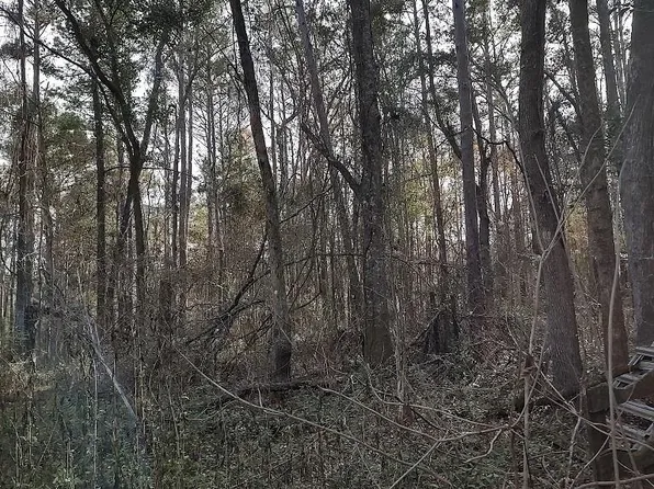 0 Ajax Rd, Tallahassee, FL 32311