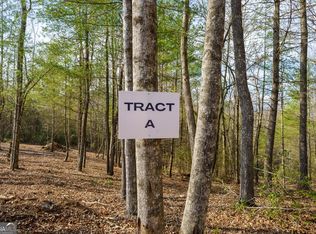 Township Road A East New Hope Rd, Ellijay, GA 30536