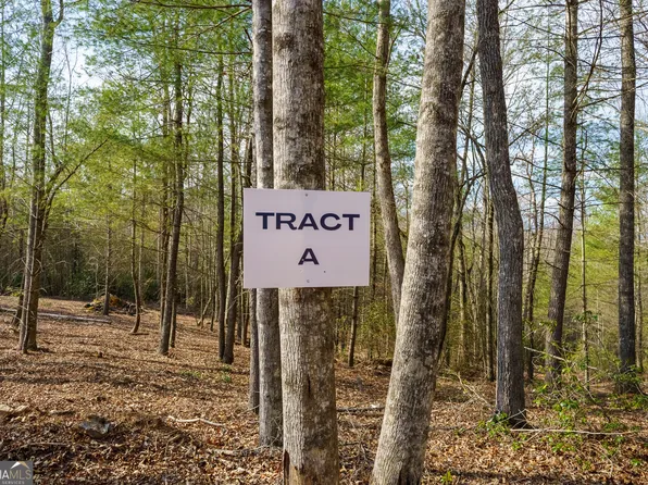 Township Road A East New Hope Rd, Ellijay, GA 30536