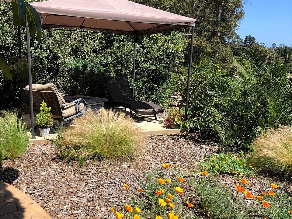 large fenced backyard