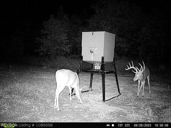 3rd image of Turkey Creek Rd