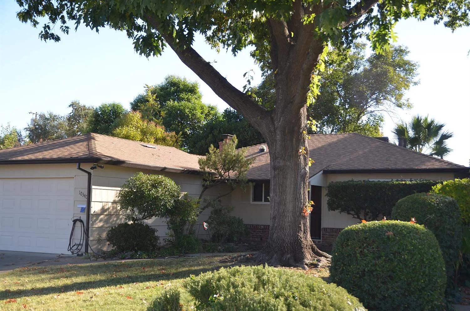10340 Newton Way photo 1