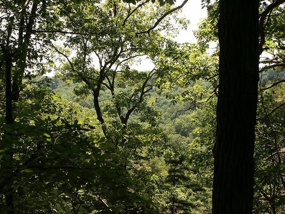 County Road 120, Eureka Springs, AR 72631 Zillow