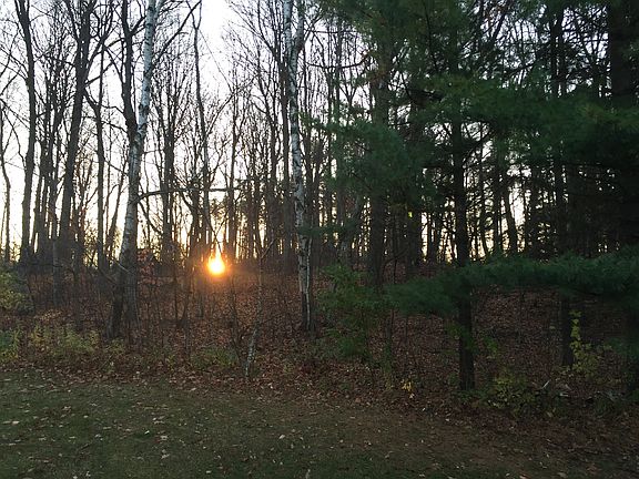 Private 2 Acre Wooded Lot