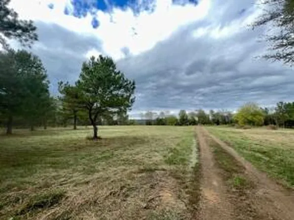 42.16 Cowger Ln, Dardanelle, AR 72834