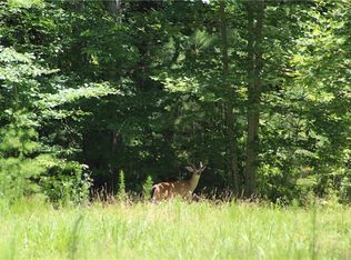 0 Jumper Dr #126, Ellijay, GA 30540