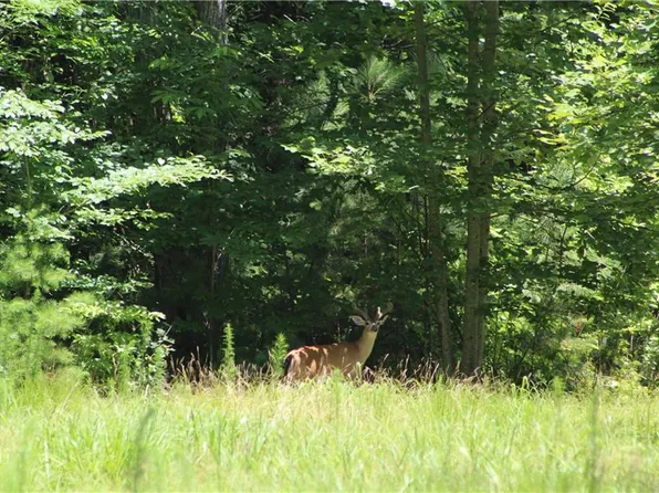 0 Jumper Dr #126, Ellijay, GA 30540