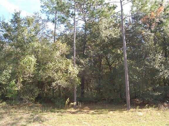 2nd image of 9173 N Aruba Dr