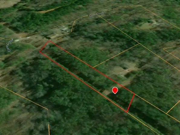 1105 Reavis Rd, Ball Ground, GA 30107