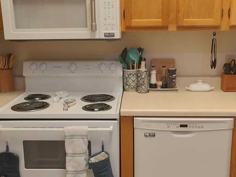 1428 Southern Gardens Dr — Photo 3
