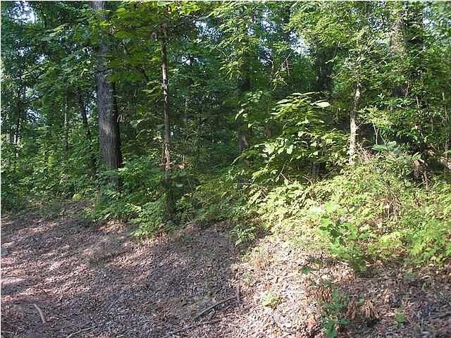 1st image of 185 Walnut Dr