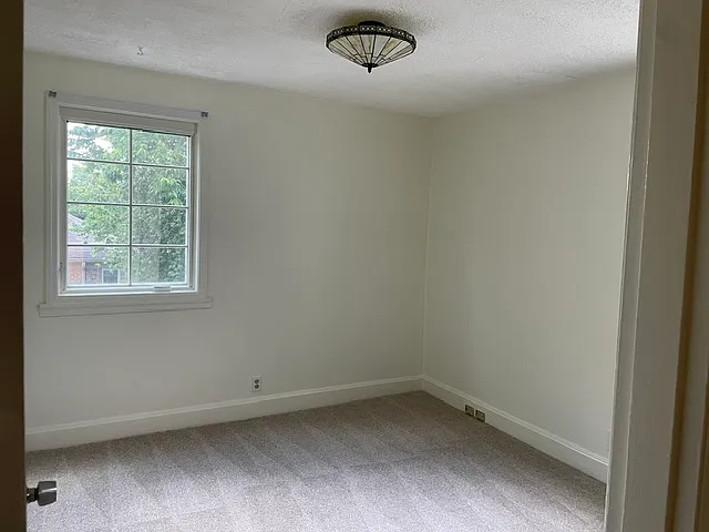 Downstairs Bedroom 1