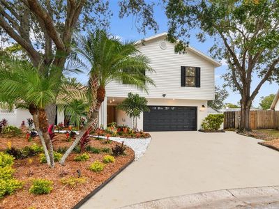 10503 Nile Ct, Tampa, FL, 33615