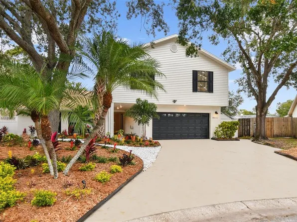 10503 Nile Ct, Tampa, FL 33615