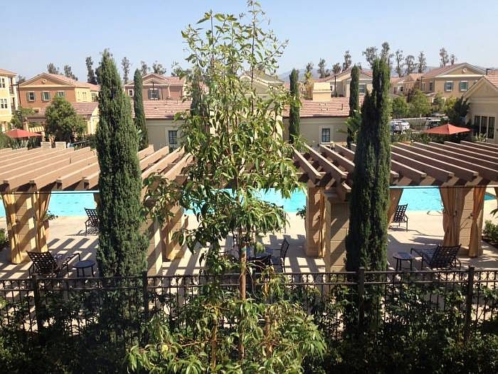 Pool View From Dining Roo