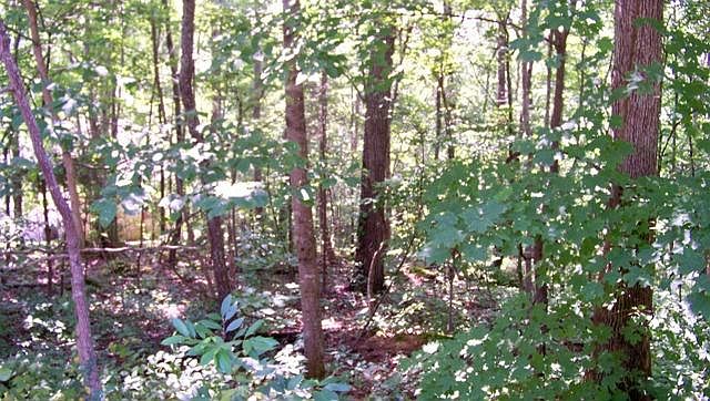 1st image of 12 Trotters Cir Lot 12
