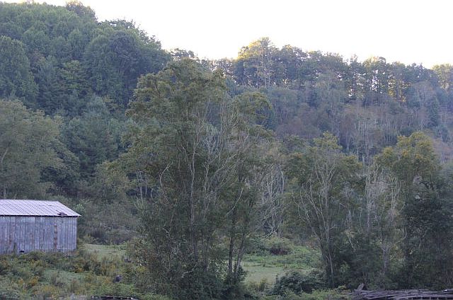 2nd image of 819 Long Branch Rd