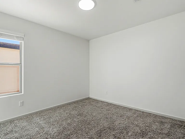 1173 Summer Rain St — Photo 9