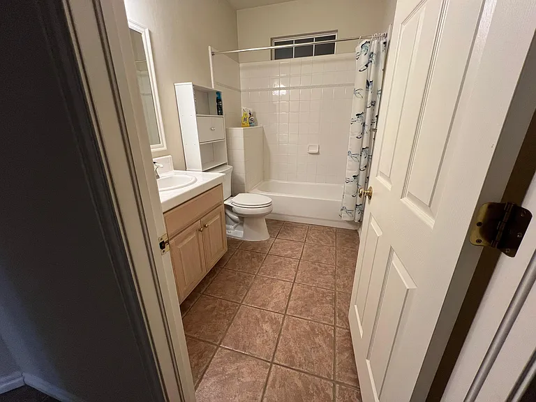 Hall/guest bathroom