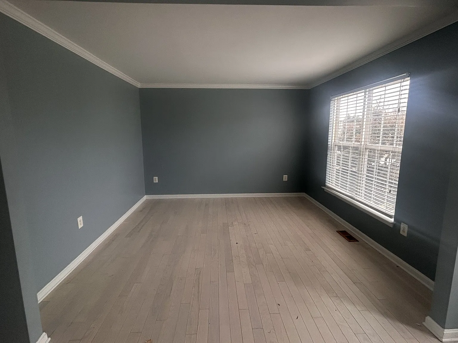 6 Mintwood Drive$ - 1 — Photo 3