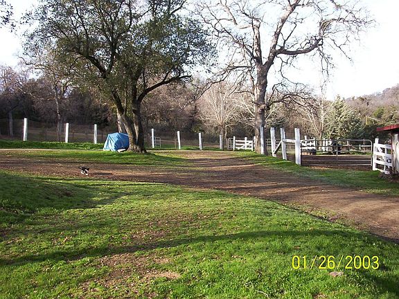Yard and driveway