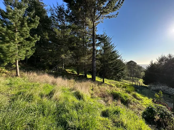 298 Bambi Dr, Whitethorn, CA 95589