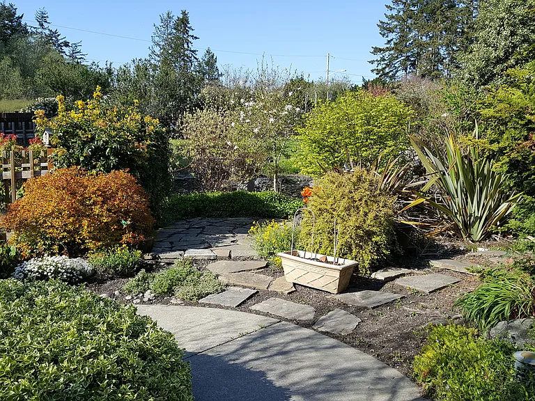 front yard - fenced
