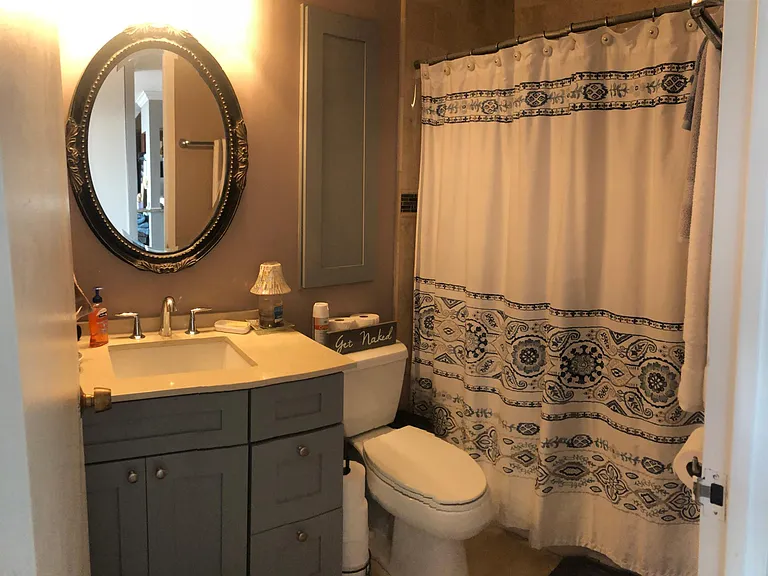 Bathroom w/ hidden wall cabinet