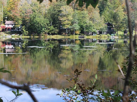 2nd image of Trout Brook Road
