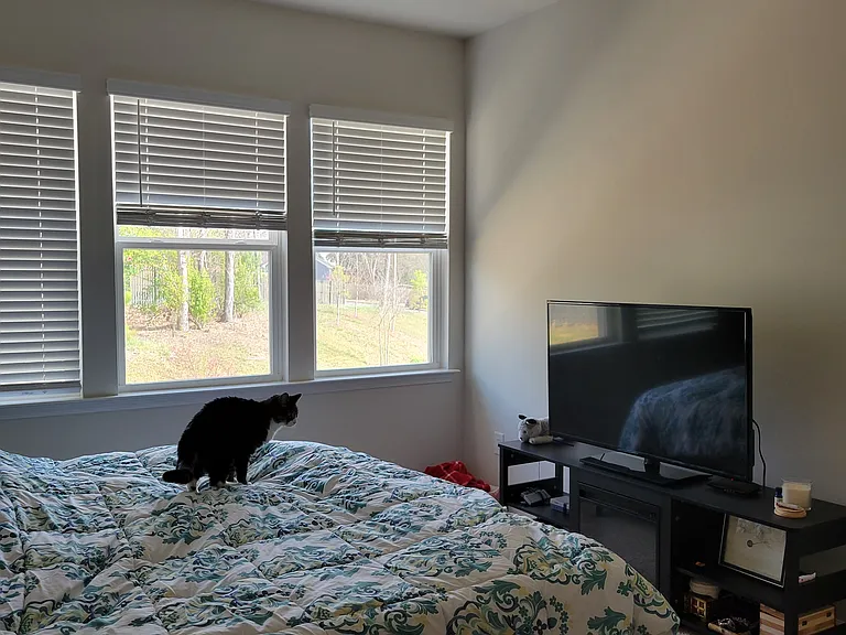 310 Cloudcroft Aly — Photo 3